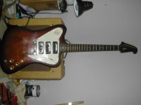 DSCN4694.JPG