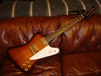 Firebird (4).JPG