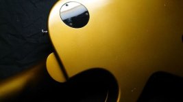 Lefty all gold 2.jpg