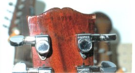 9_0286BACKHEADSTOCK.JPG