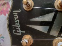 IMG_20230120_102919.jpg
