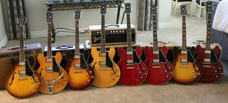 Small Gibson ES-335 family.jpg