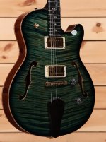 archtop sc  .jpg