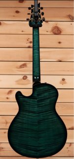 Archtop sc back.jpg