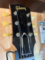 IMG_1141.jpeg