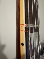 IMG_1636.jpeg