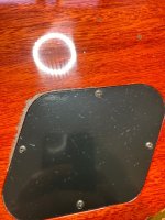 IMG_1137.jpeg