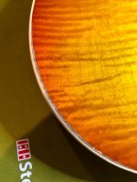 IMG_1138.jpeg