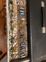 IMG_1737.jpeg