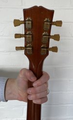 IMG_4869.jpeg IMG_4869.jpeg