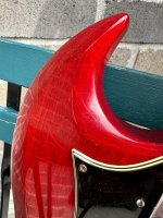 IMG_2503.jpeg