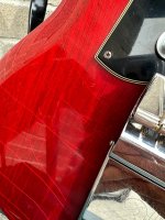 IMG_2504.jpeg