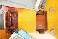 0-1602 Neck cavity Tony Hicks.jpg