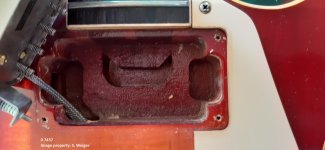 0-7437 Neck cavity.jpg