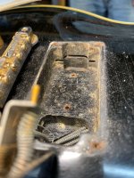 IMG_6236.jpeg