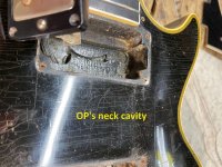 LPC maybe.neck pu.cavity.jpeg