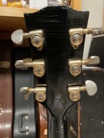 IMG_4239.jpeg