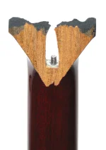 gibson neck.webp