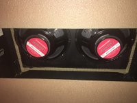 IMG_3706.jpeg