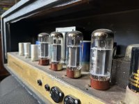 IMG_8782-compressed.jpeg