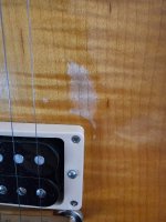 Gibson Stain.jpg