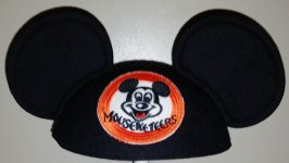 Mouse Ears 3.jpg
