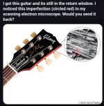 IMG_8372.jpeg