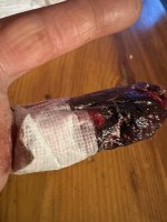 thumbnail_IMG_0923.jpg