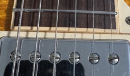 IMG_3916.jpeg