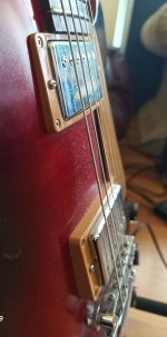Studio pickup positions cropped.jpg