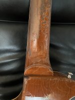 IMG_2182.jpeg