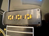 IMG_6545.jpeg