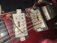 IMG_1208.jpeg