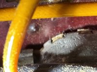 IMG_1205.jpeg