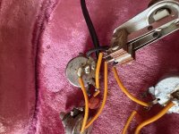 IMG_1242.jpeg