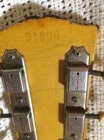 IMG_3232-compressed.jpeg