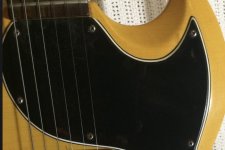 IMG_3514.jpeg