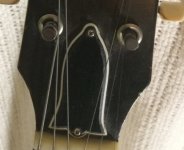 IMG_3515.jpeg