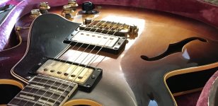 IMG_1994.jpeg