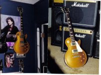 Goldtop 2.jpg