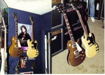 Goldtop 3.jpg