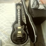 blackbeauty1.jpg