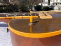 LesPaul_FenderDeluxe_small-5.jpg