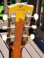 Headstock Back.jpg Headstock Back.jpg