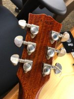 IMG_2856.jpg