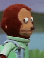 1627528191515.gif