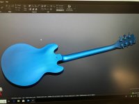 336 neck scan.JPG
