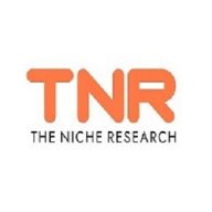 thenicheresearchsaja