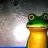 FROGGY