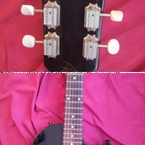 Photos